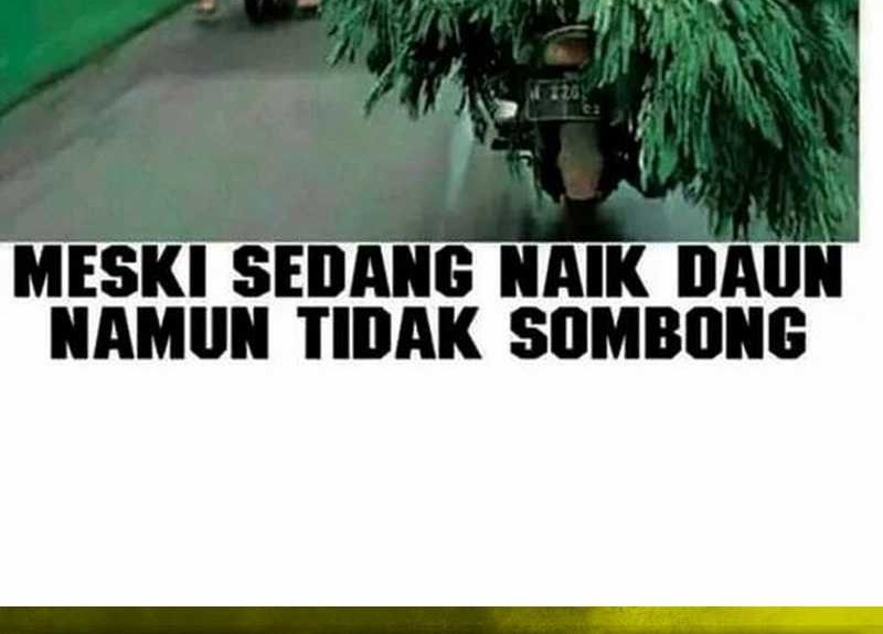 A Genius Writer’s Random Workplace (Genius Artist’s Random Studio) Chapter 60 Gambar 103