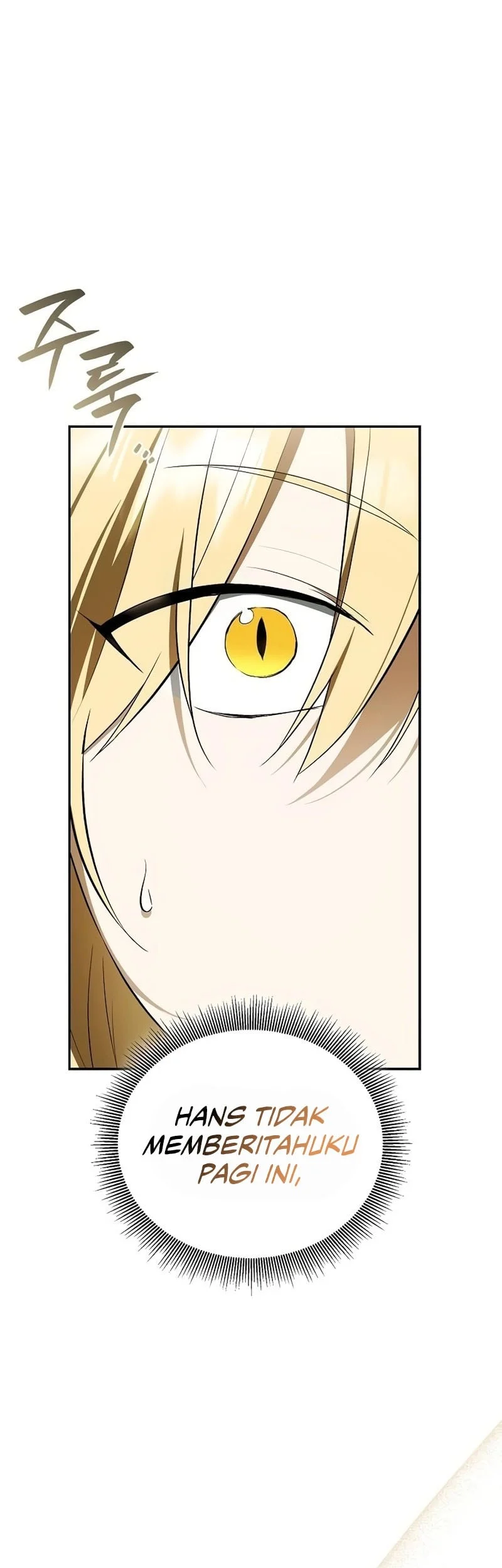 A Mercenary’s Rebirth Among Nobles Chapter 16 Gambar 10