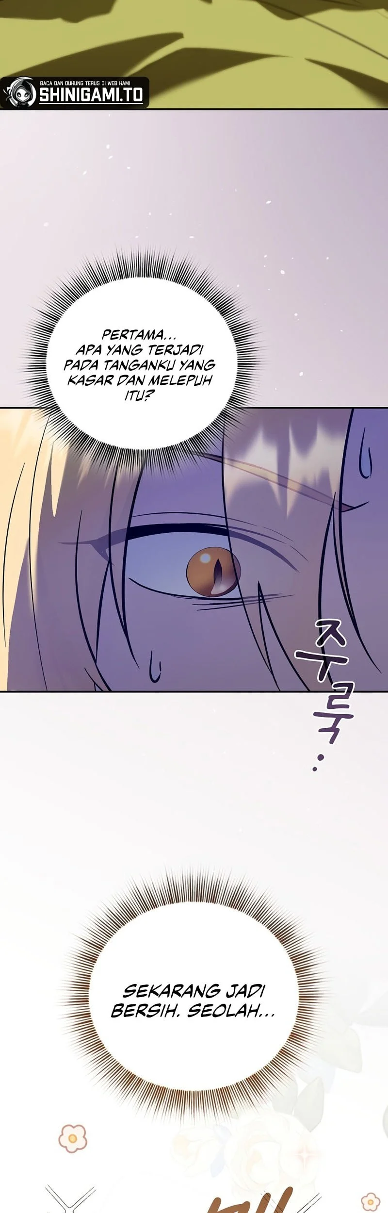 A Mercenary’s Rebirth Among Nobles Chapter 2 Gambar 4