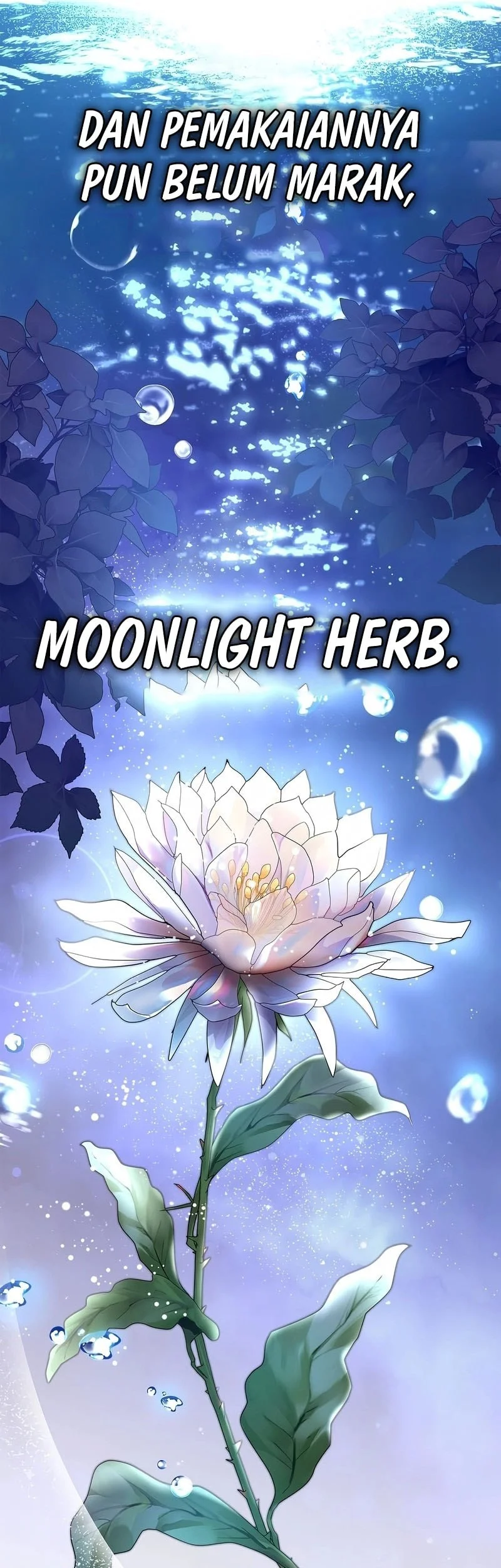 A Mercenary’s Rebirth Among Nobles Chapter 4 Gambar 46