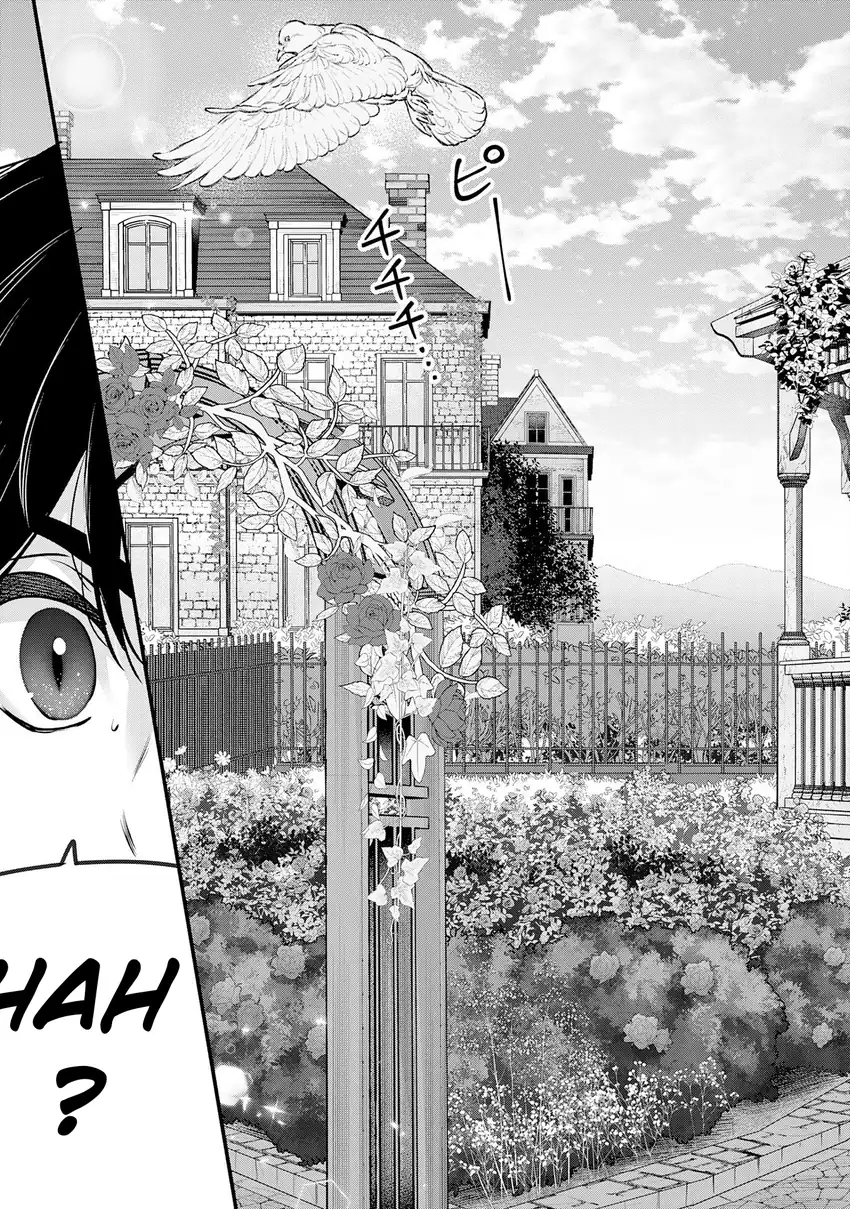 Auto Skill de Ore dake Chousoku Level Up: Megami ga Michibiku Taida na Tenseisha no Sakutto Isekai Kouryaku Chapter 1 Gambar 12