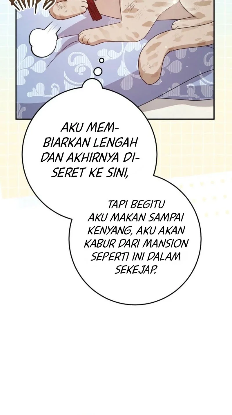 Baby Lynx of the Tiger Family Chapter 1 Gambar 55