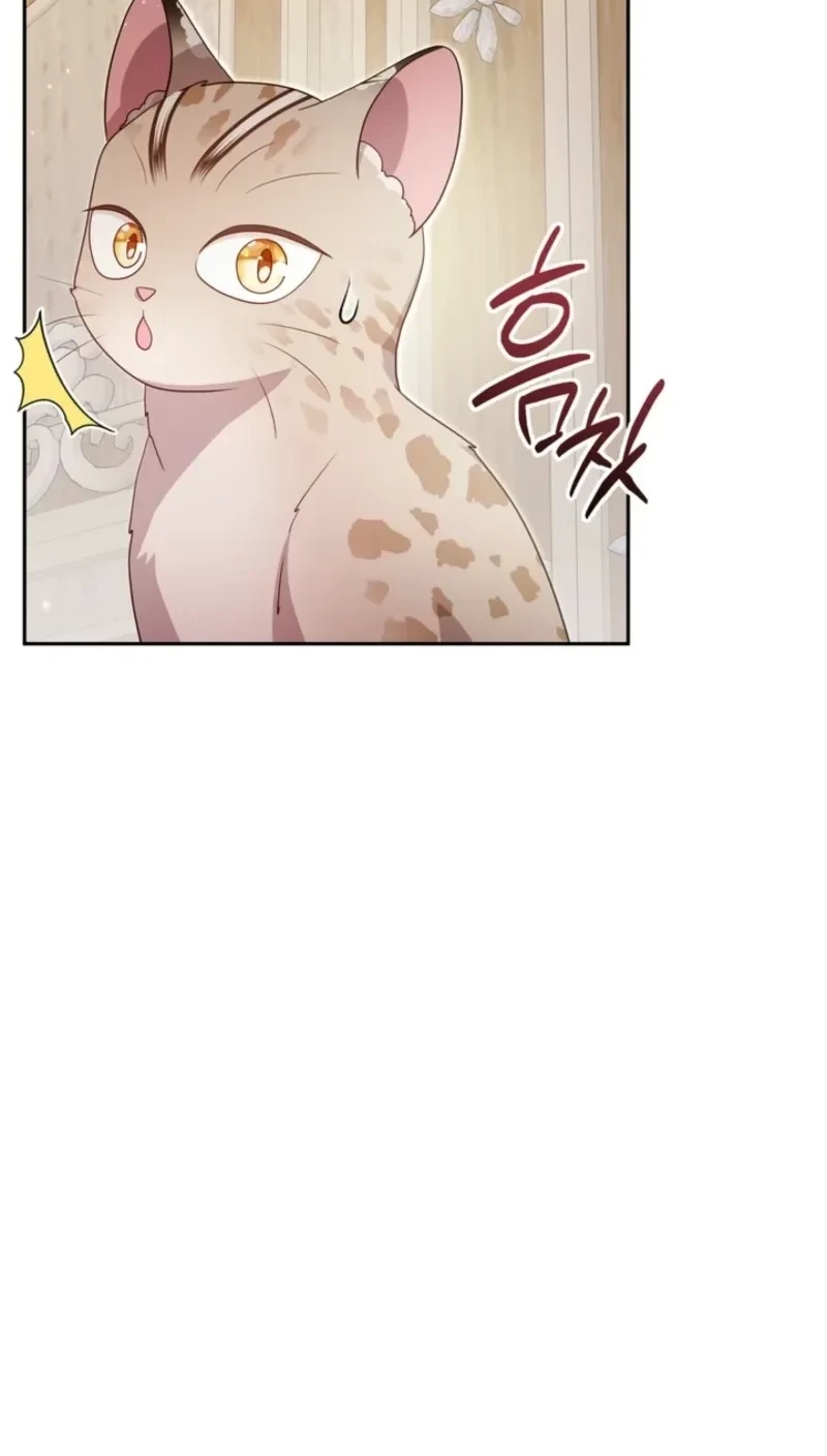 Baby Lynx of the Tiger Family Chapter 14 Gambar 6