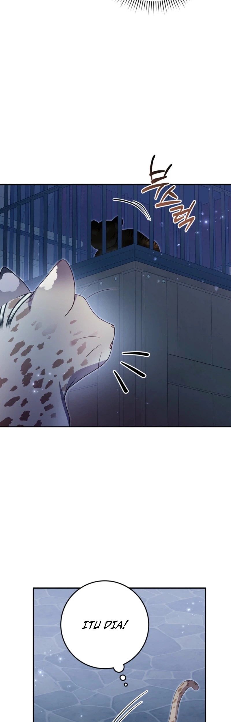 Baby Lynx of the Tiger Family Chapter 16 Gambar 19