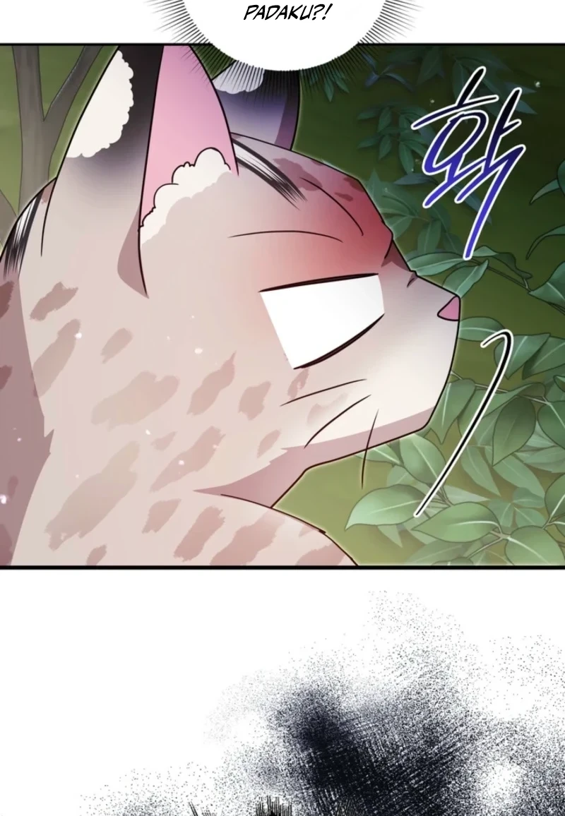 Baby Lynx of the Tiger Family Chapter 3 Gambar 8