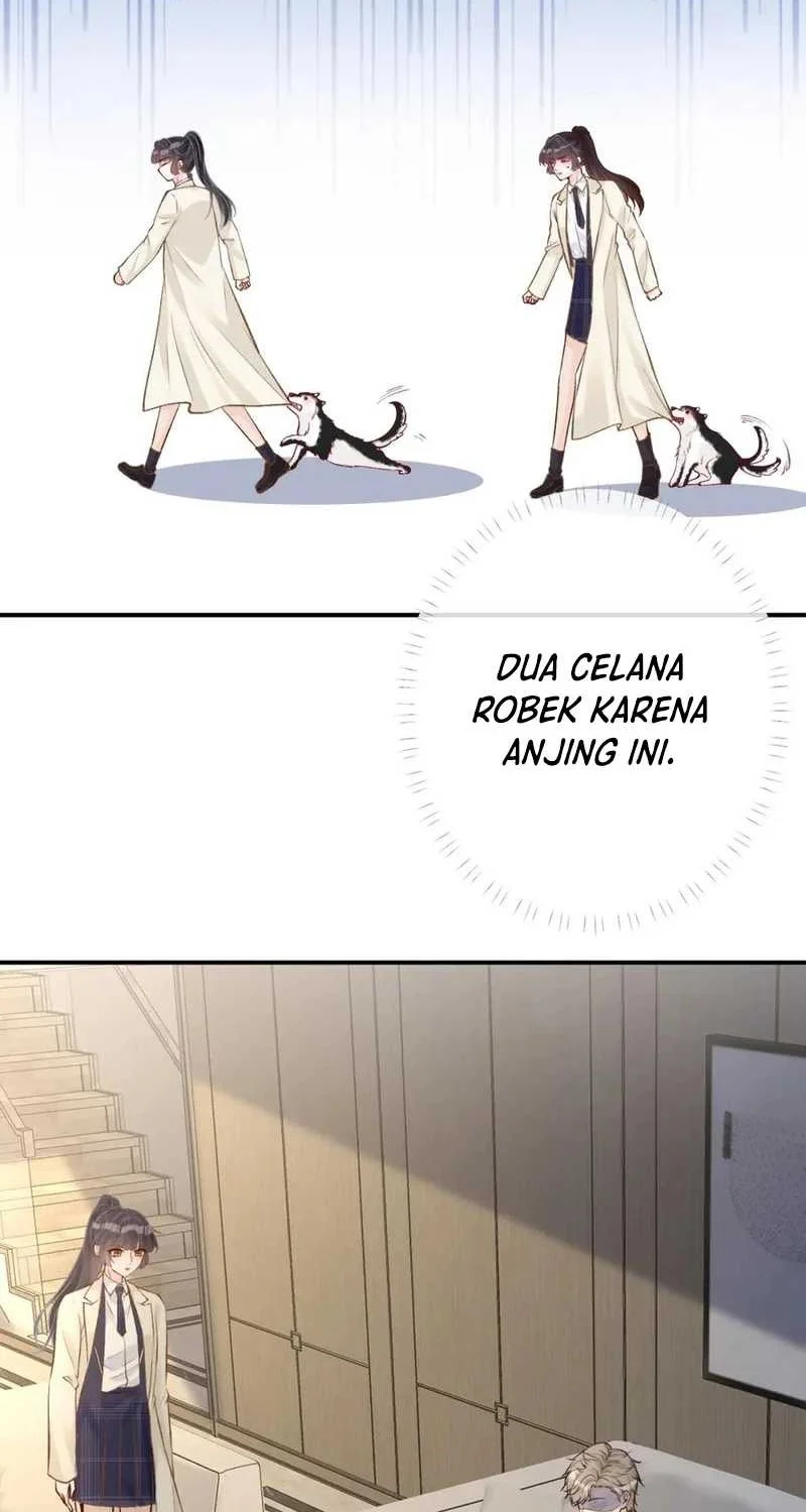 Bao Jin Wo De Xiao Majia Chapter 150 Gambar 10