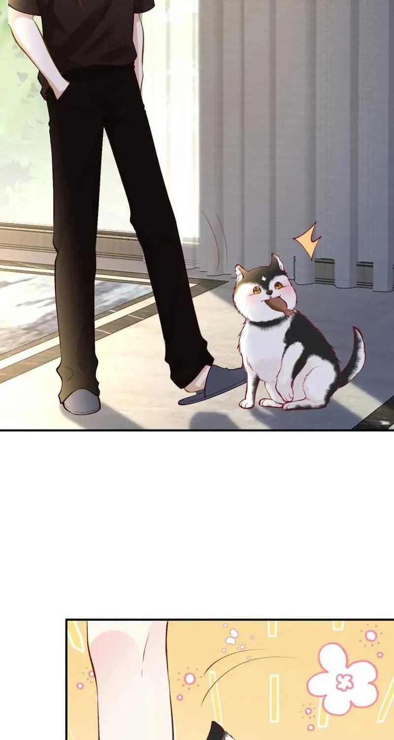 Bao Jin Wo De Xiao Majia Chapter 151 Gambar 4