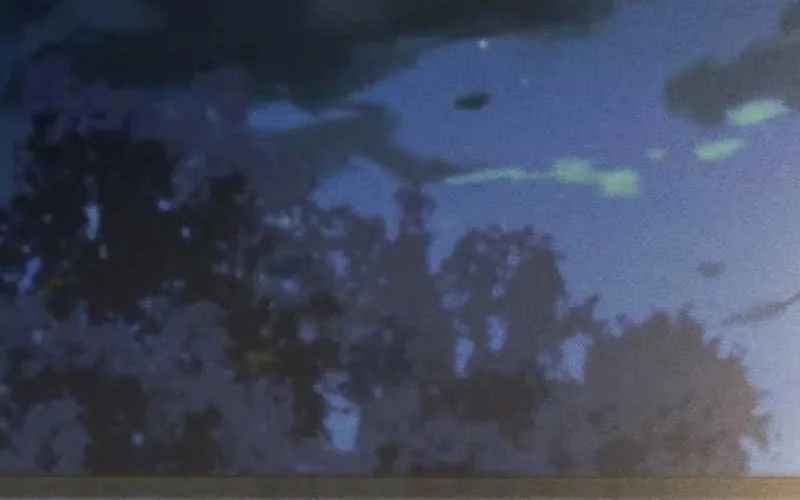 Bao Jin Wo De Xiao Majia Chapter 197 Gambar 14