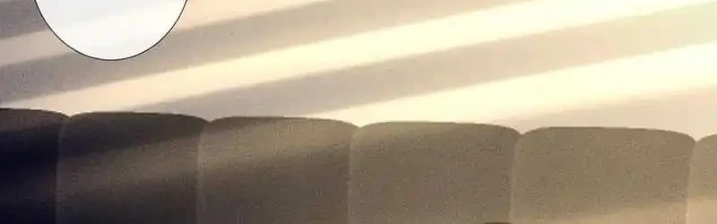 Bao Jin Wo De Xiao Majia Chapter 222 Gambar 20