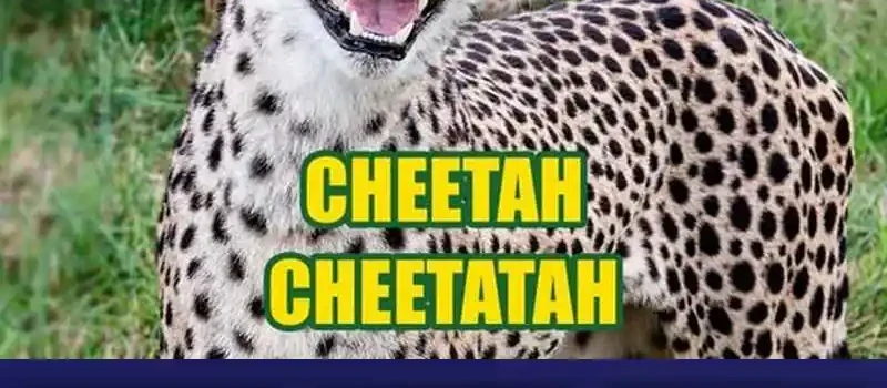 Bao Jin Wo De Xiao Majia Chapter 282 Gambar 35