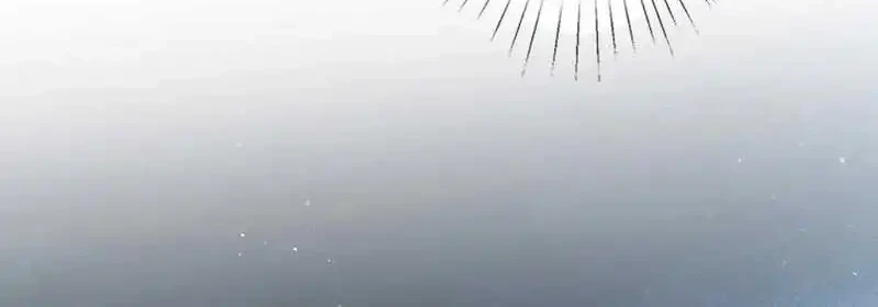 Bao Jin Wo De Xiao Majia Chapter 300 Gambar 20