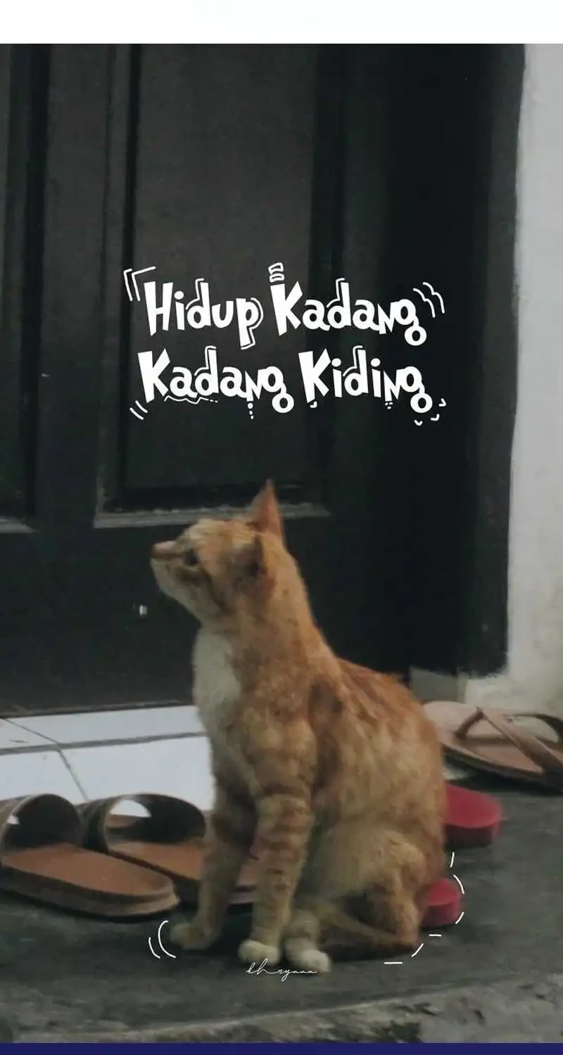 Bao Jin Wo De Xiao Majia Chapter 305 Gambar 38