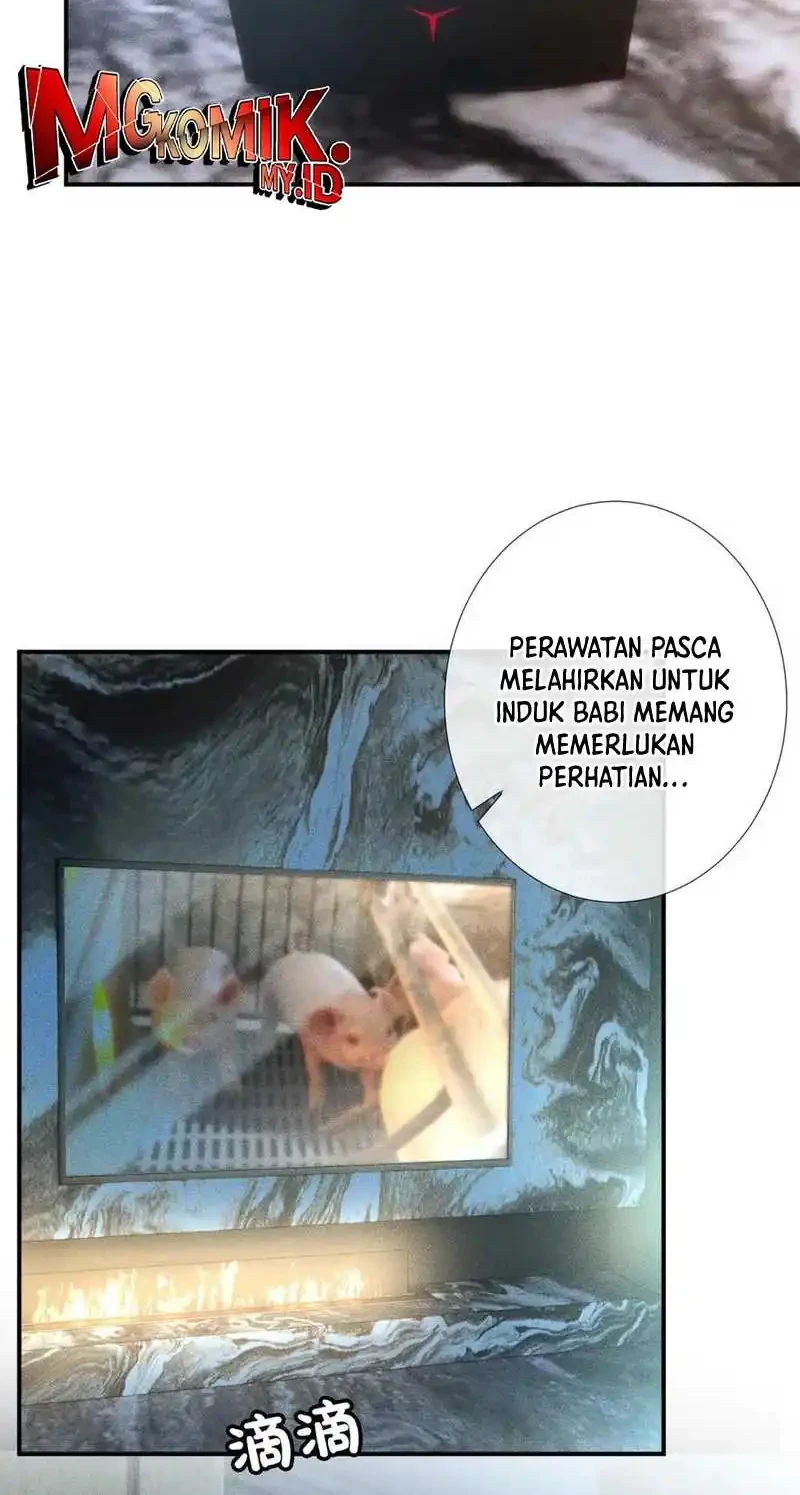 Bao Jin Wo De Xiao Majia Chapter 307 Gambar 24