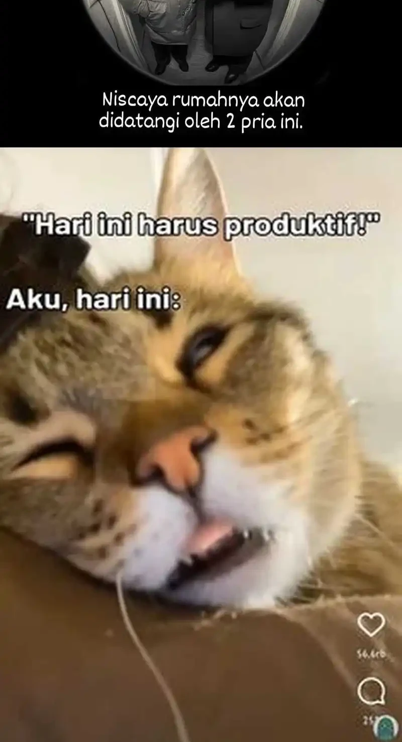 Bao Jin Wo De Xiao Majia Chapter 325 Gambar 43