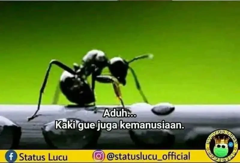 Bao Jin Wo De Xiao Majia Chapter 359 Gambar 33