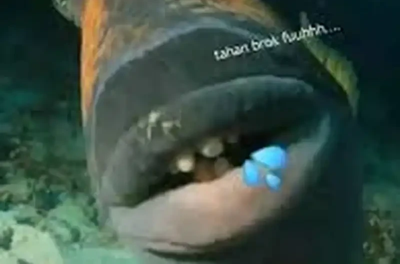 Bao Jin Wo De Xiao Majia Chapter 397 Gambar 35