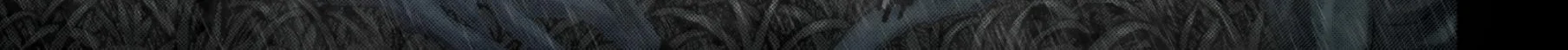Berserk Chapter 91 halaman 7