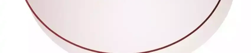 Black-Haired US Army General Chapter 28 Gambar 32