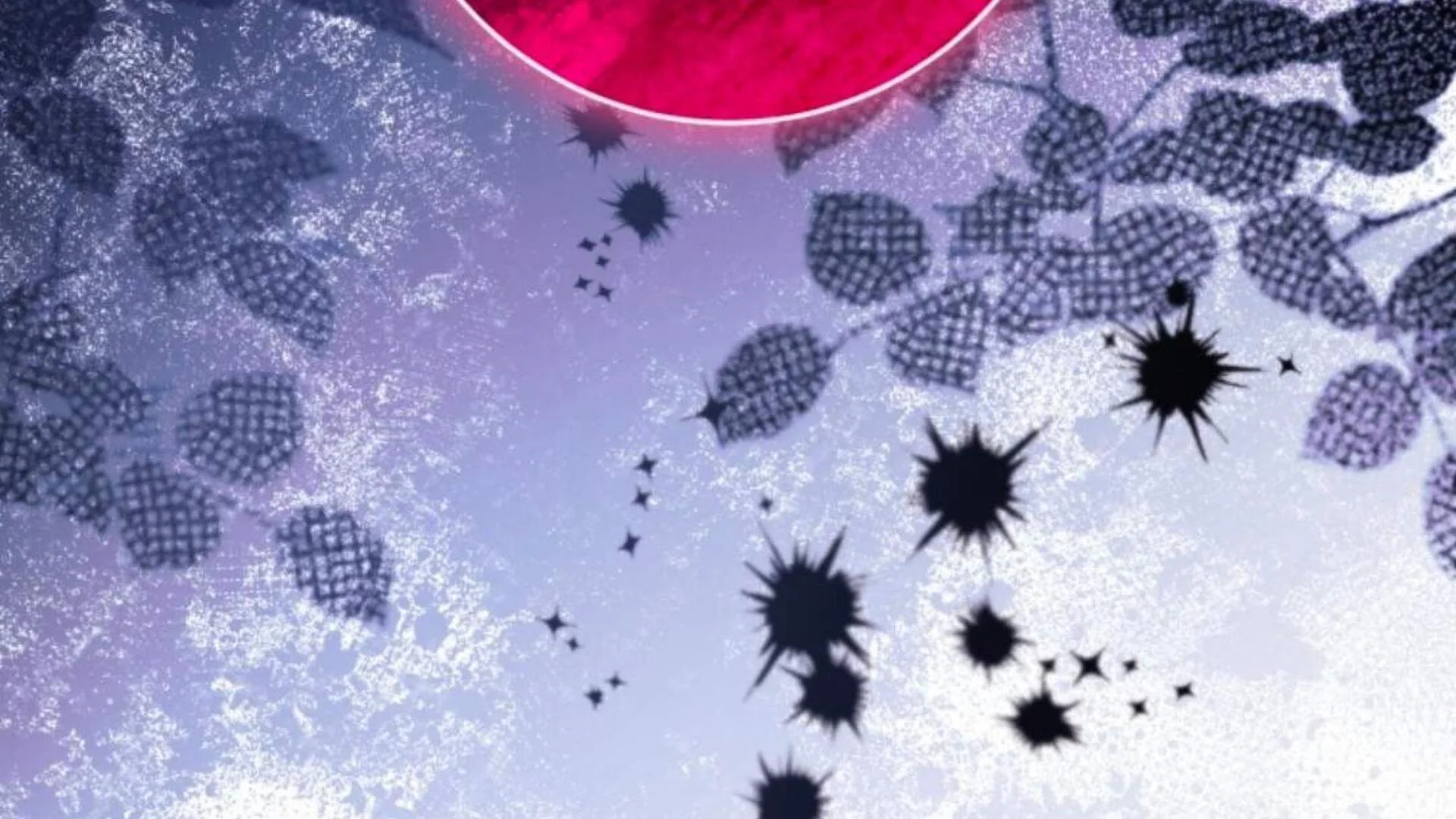 Black Killer Whale Baby Chapter 83 Gambar 187