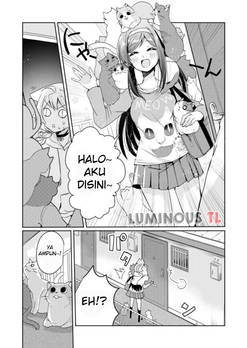 Catulus Syndrome Chapter 3 Gambar 5