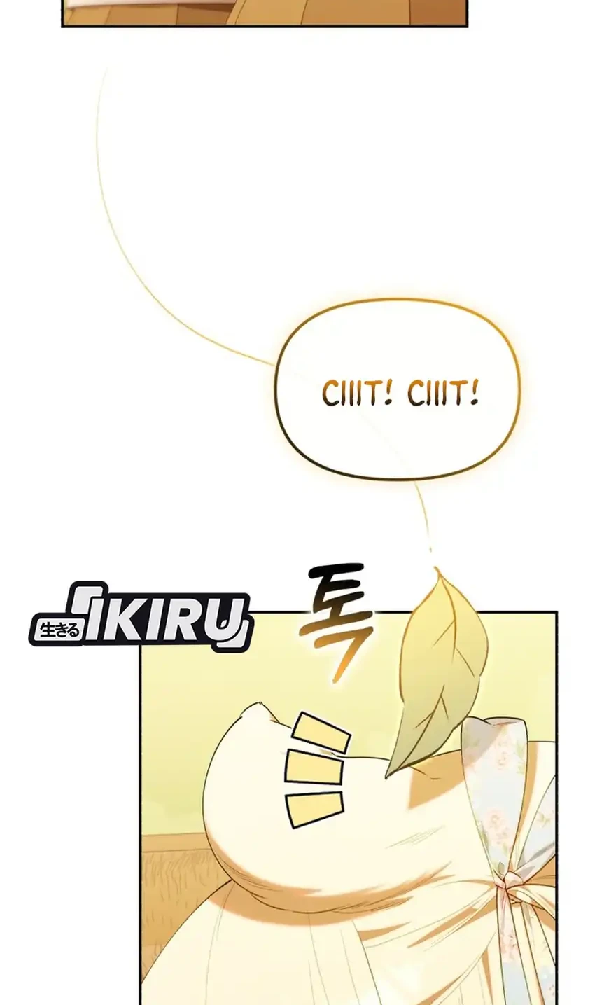 Manhwa Chick Class Hunter is Being Filial! Chapter 63 gambar 2