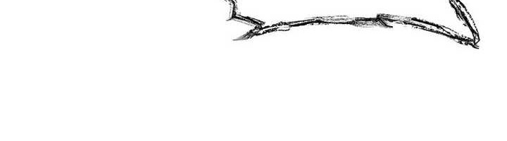 Cruise Chapter 45 Gambar 62