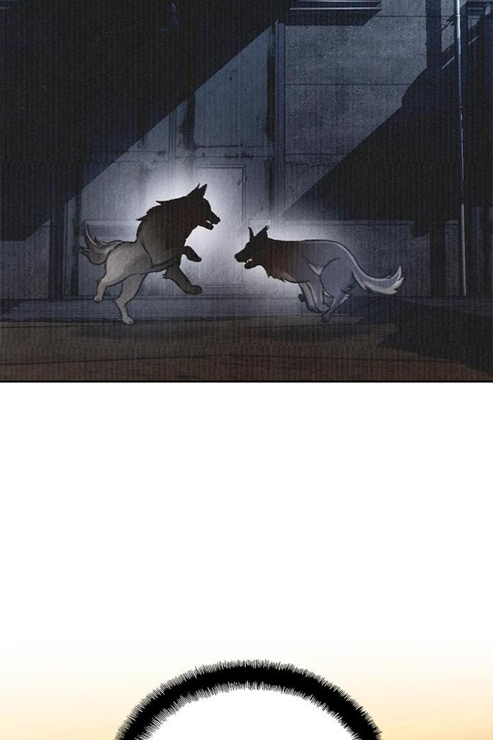 Dark Moon: The Grey City Chapter 25 Gambar 20