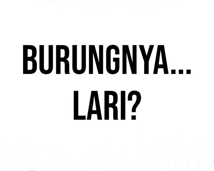 Debut or Die Chapter 80 Gambar 44