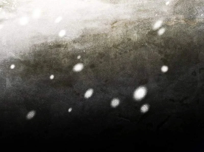 Defiance Of The Fall Chapter 28 Gambar 98