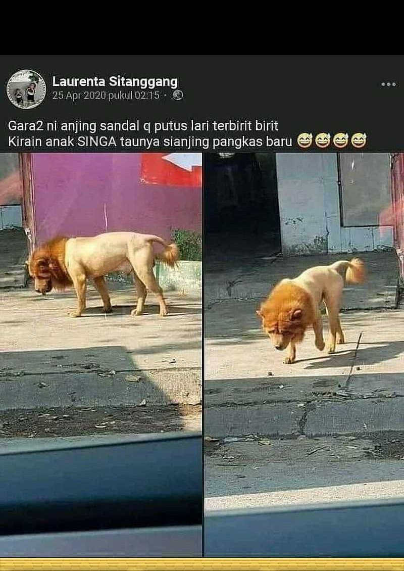 Divine Delivery Chapter 61 Gambar 121