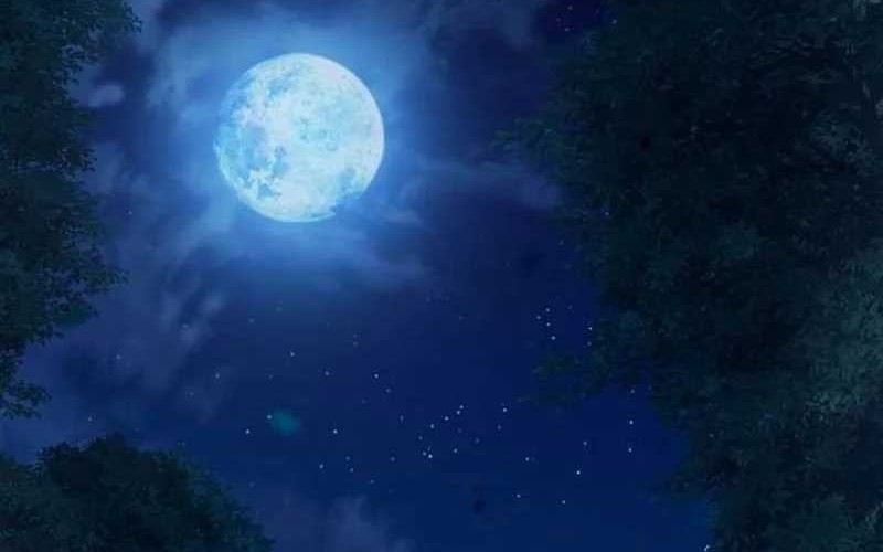 Divine Delivery Chapter 63 Gambar 10