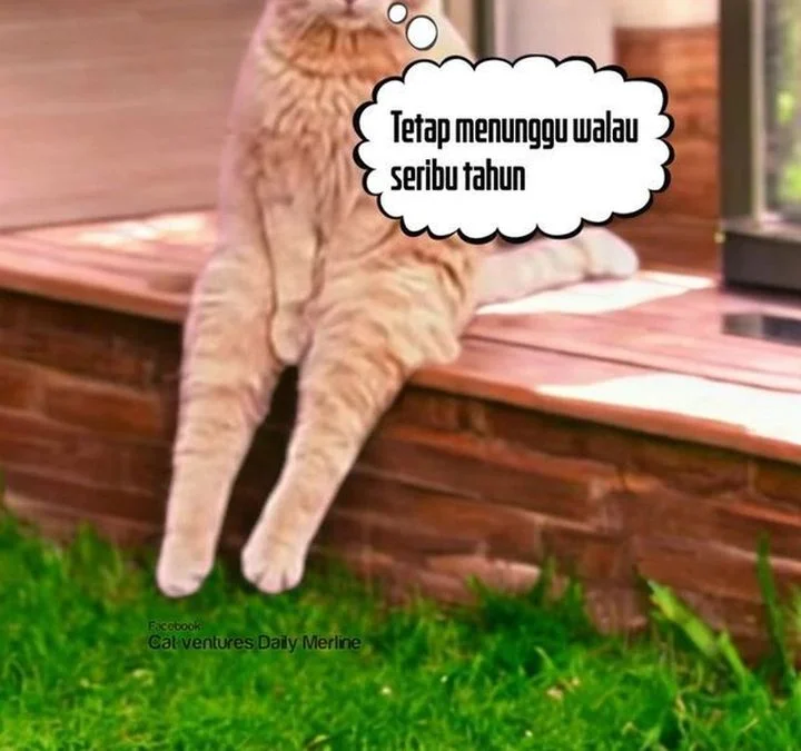 Dungeon Odyssey Chapter 153 Gambar 74