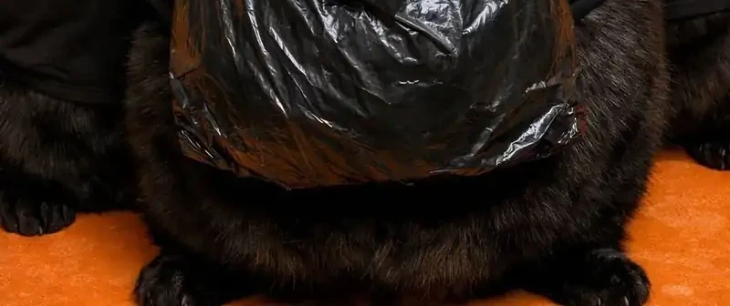 Dungeon Odyssey Chapter 154 Gambar 72