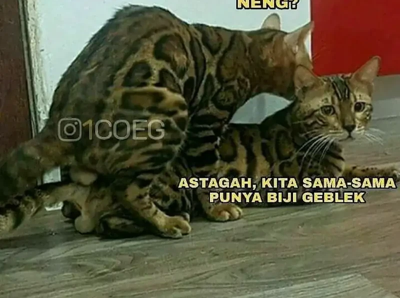 Elephant Invisible Chapter 262 Gambar 32