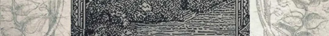 Fortune-Telling Lady Chapter 47 Gambar 83