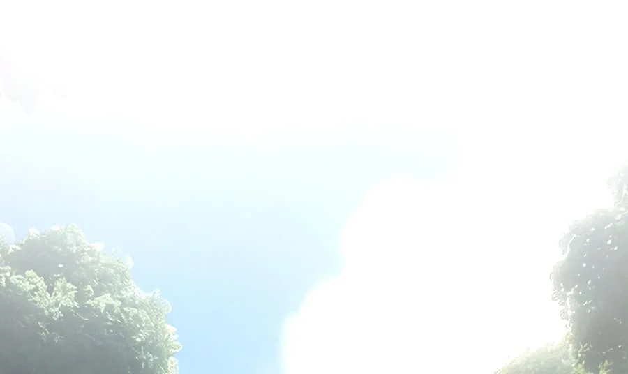 Greetings, Sect Leader Chapter 9 Gambar 41