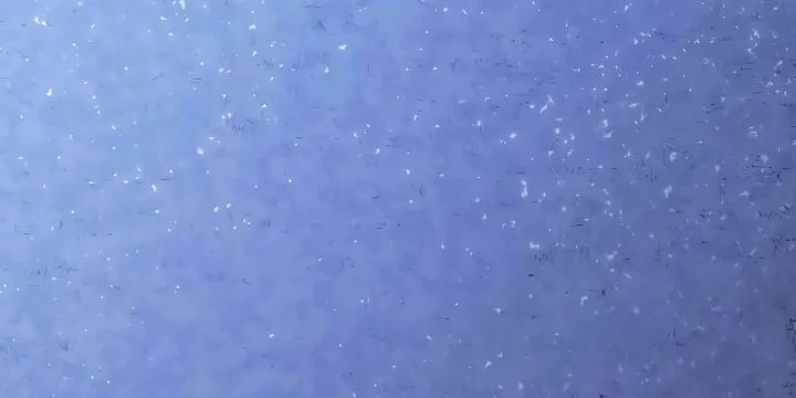 Grim Reaper of the Drifting Moon Chapter 83 Gambar 88