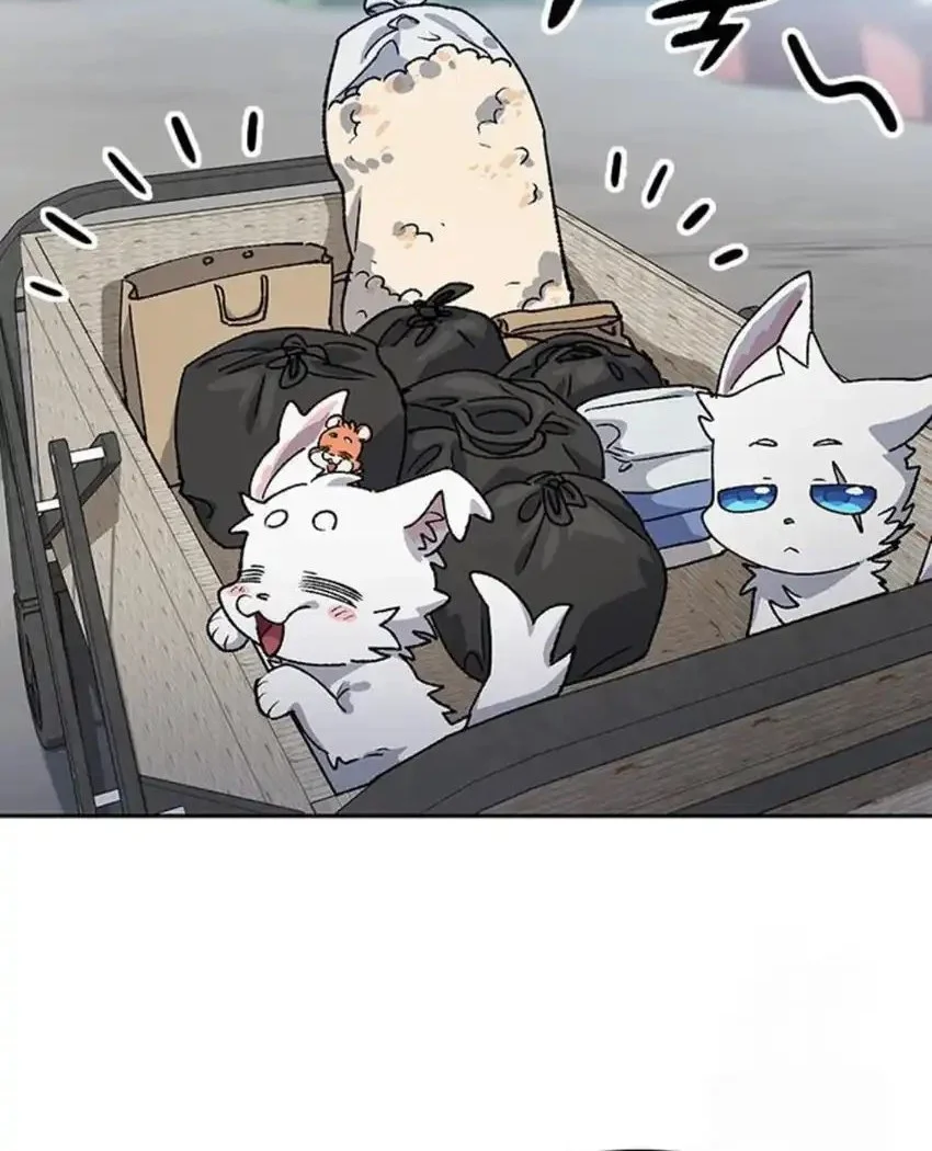 healing life through camping in another world chapter 91 - Page 56