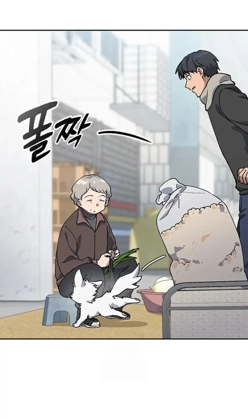 healing life through camping in another world chapter 91 - Page 66