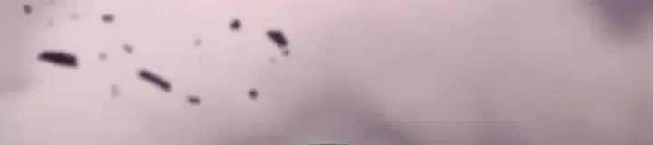 Heavenly Demon Cultivation Simulation Chapter 156 Gambar 131