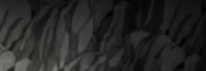 Heavenly Demon Cultivation Simulation Chapter 158 Gambar 65