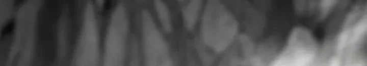 Heavenly Demon Cultivation Simulation Chapter 158 Gambar 121