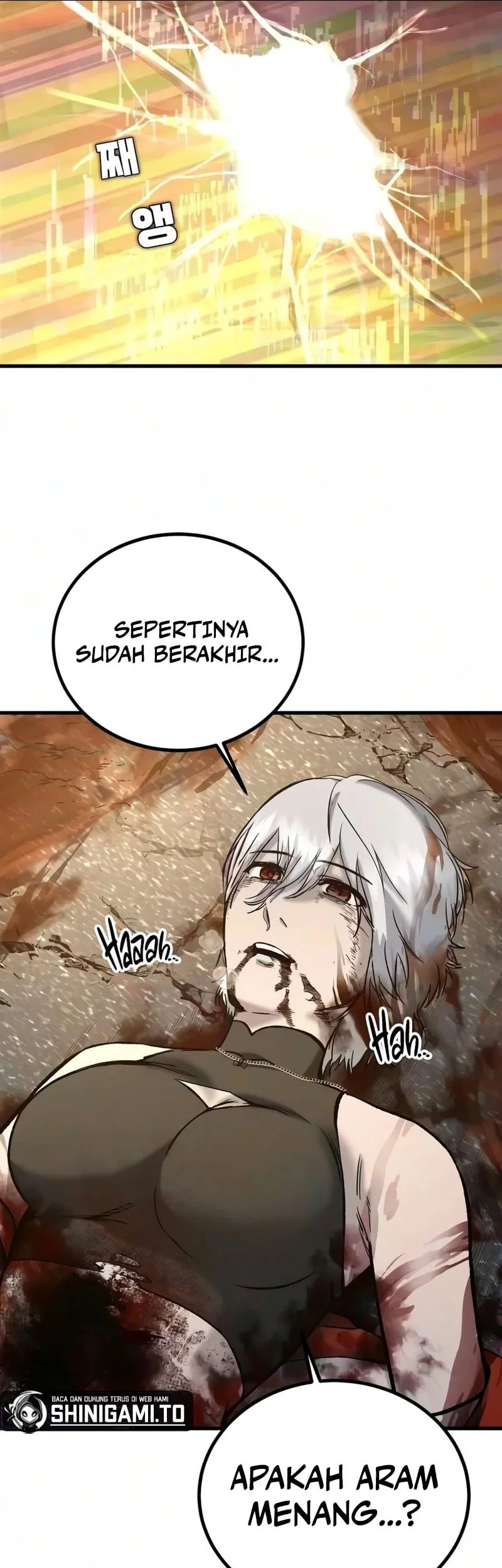 Halaman 43
