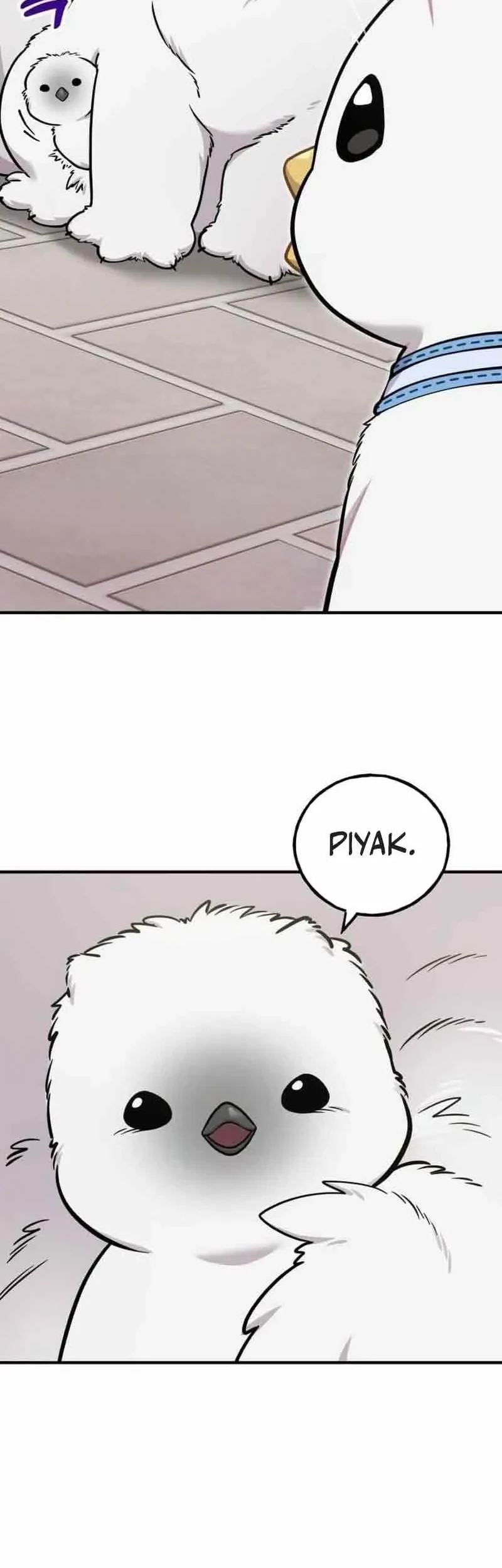 Manhwa Hello, Fluffy Griffin! Chapter 33 gambar 2