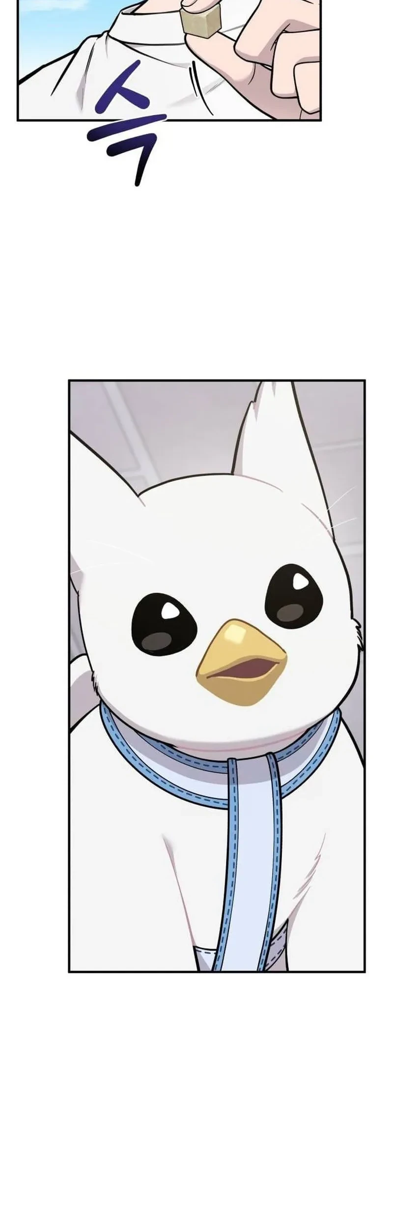 Manhwa Hello, Fluffy Griffin! Chapter 35 gambar 2