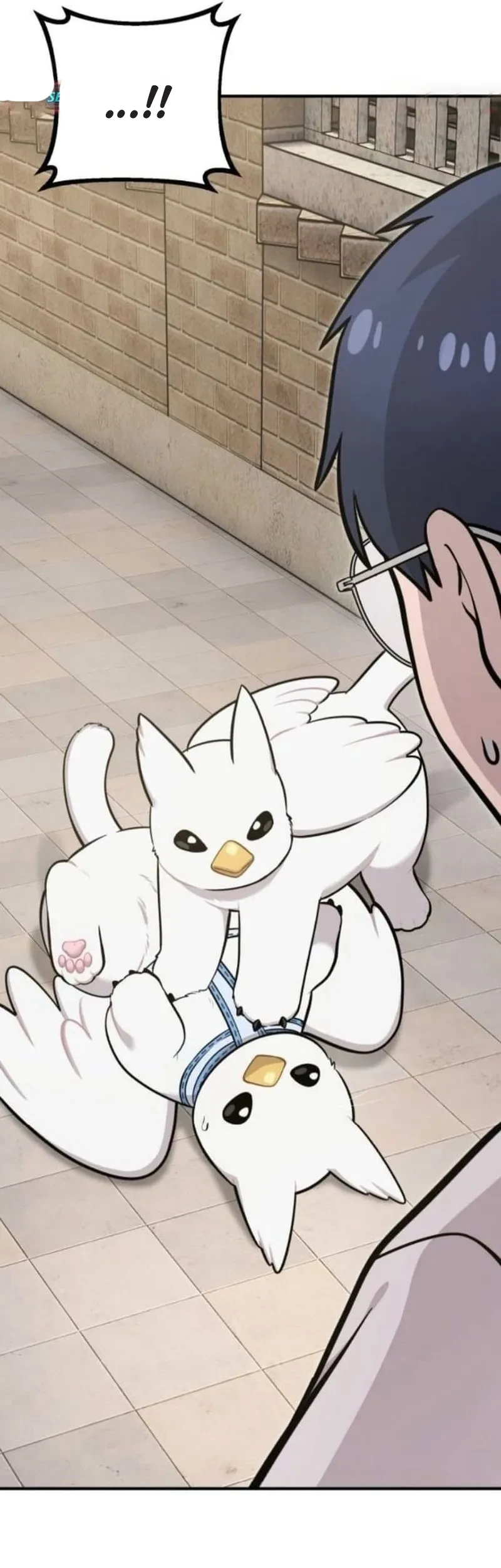 Hello, Fluffy Griffin! Chapter 36 Gambar 28