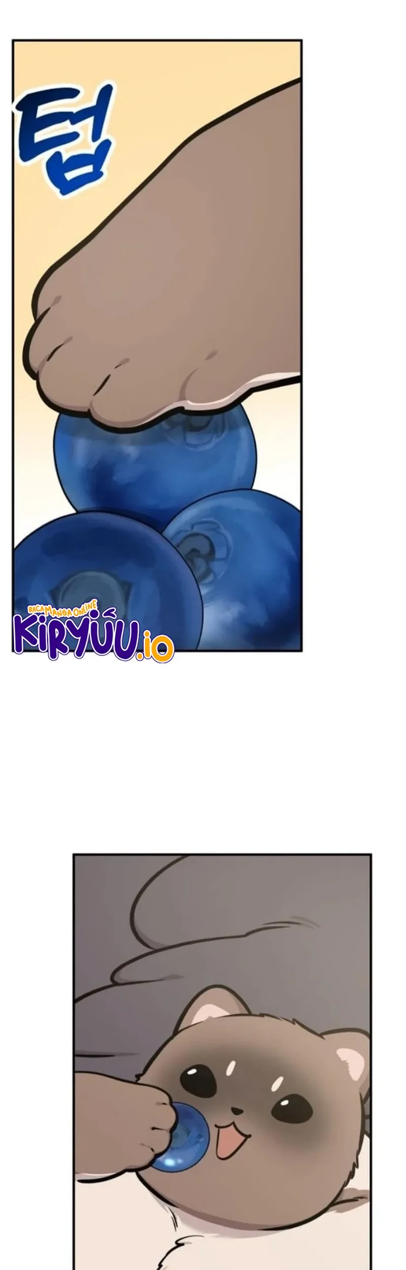 Hello, Fluffy Griffin! Chapter 38 Gambar 47