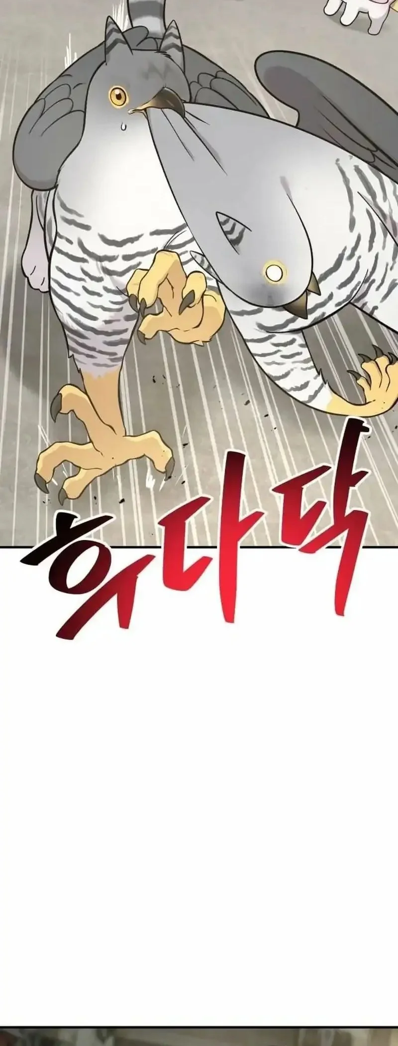 Hello, Fluffy Griffin! Chapter 39 Gambar 48
