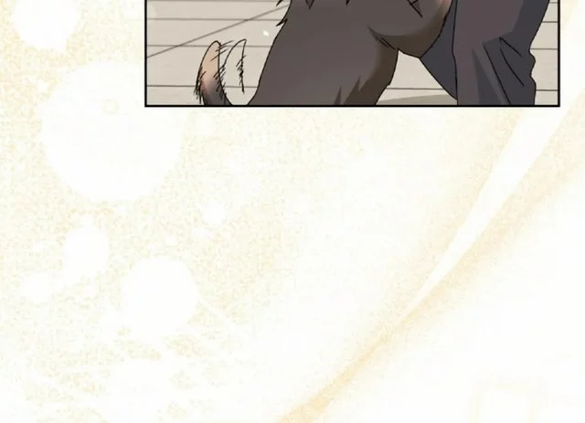 Hello? Veterinarian! Chapter 104 Gambar 49