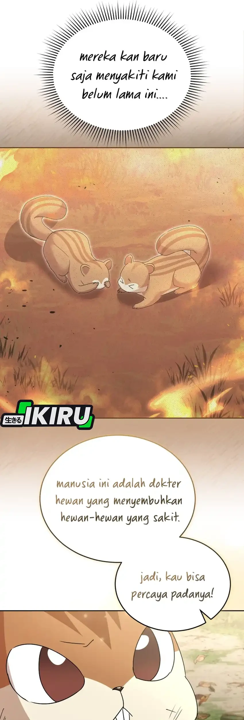 hello veterinarian chapter 107 - Page 48